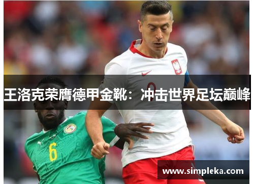 王洛克荣膺德甲金靴：冲击世界足坛巅峰